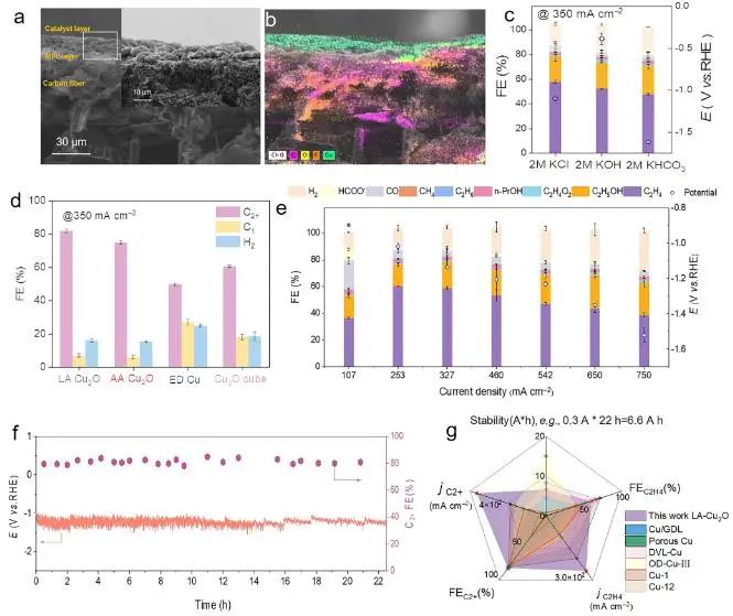 八篇頂刊速遞：Nature子刊、Angew.、JACS、AM、AFM、ACS Catalysis等！