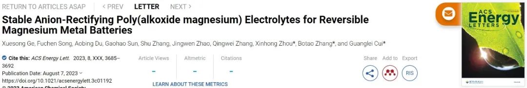 崔光磊/張波濤/周新紅ACS Energy Lett.：陰離子整流聚合物電解質助力高可逆鎂金屬電池