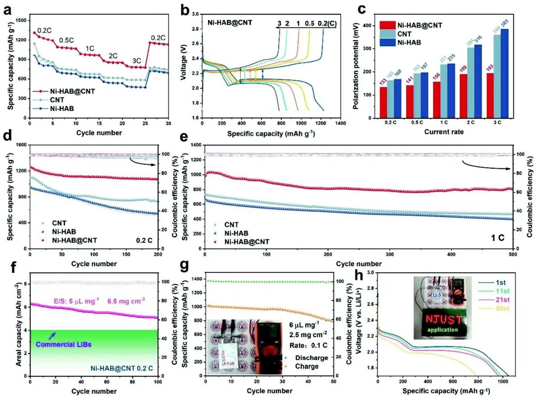 朱俊武/付永勝Adv. Sci.：π-d共軛導電MOF促進鋰硫電池中多硫化物轉化