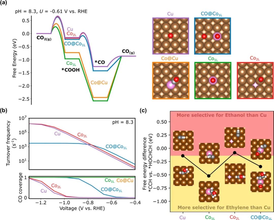 催化頂刊集錦：Nature子刊、Angew.、AFM、AM、Nano Energy、ACS Energy Lett.等！