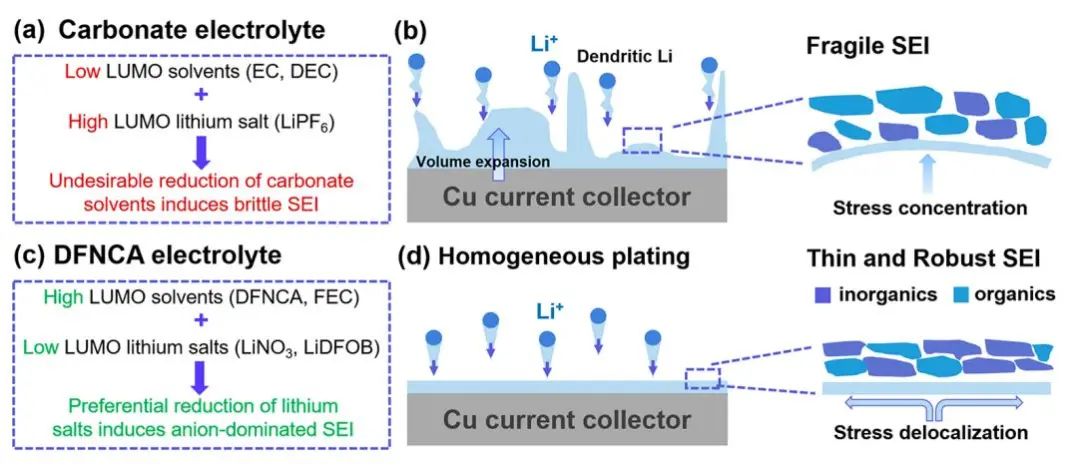 清華大學劉凱團隊ACS Nano：氟化氨基甲酸酯基電解質實現高度可逆鋰金屬負極