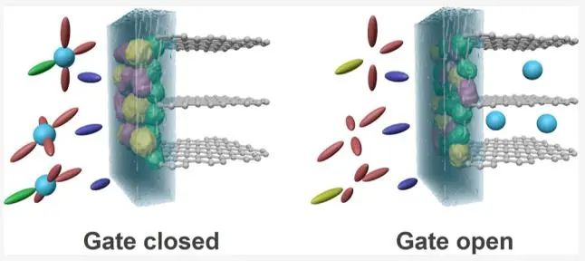 四單位聯(lián)合?JACS：固體電解質界面的選擇性離子傳輸