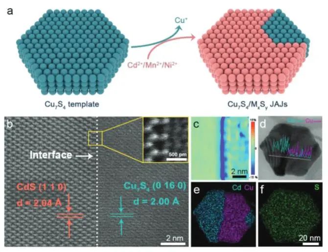 ?喬世璋/冉景潤AFM：等離激元能量上轉換立大功，有效強化Cu7S4/MxSy Janus原子結多功能光催化