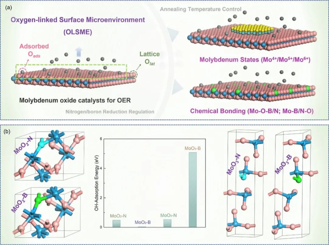 催化頂刊合集：Nature子刊、EES、AM、CEJ、ACB、ACS Catalysis等成果！