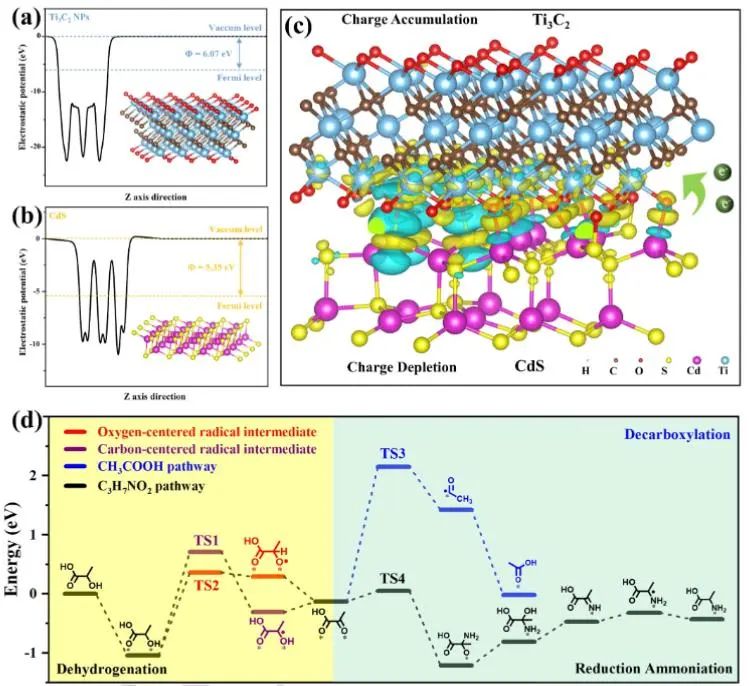 催化頂刊集錦：Angew.、EES、Chem、JACS、ACS Catal.、AFM、ACS Nano