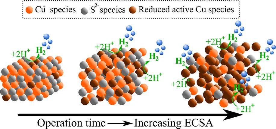 催化頂刊合集：AM、JACS、Angew.、ACS Energy Letters、ACS Catalysis、CEJ等成果！