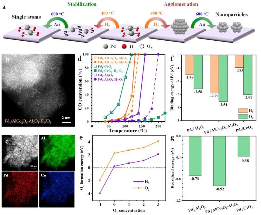 劉雨溪/戴洪興/李亞棟，最新JACS！制備單原子催化劑新策略！