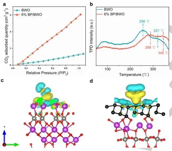 山東大學Angew.：近100%選擇性！BP/BWO S-型異質結助力苯胺氧化和CO2光轉化