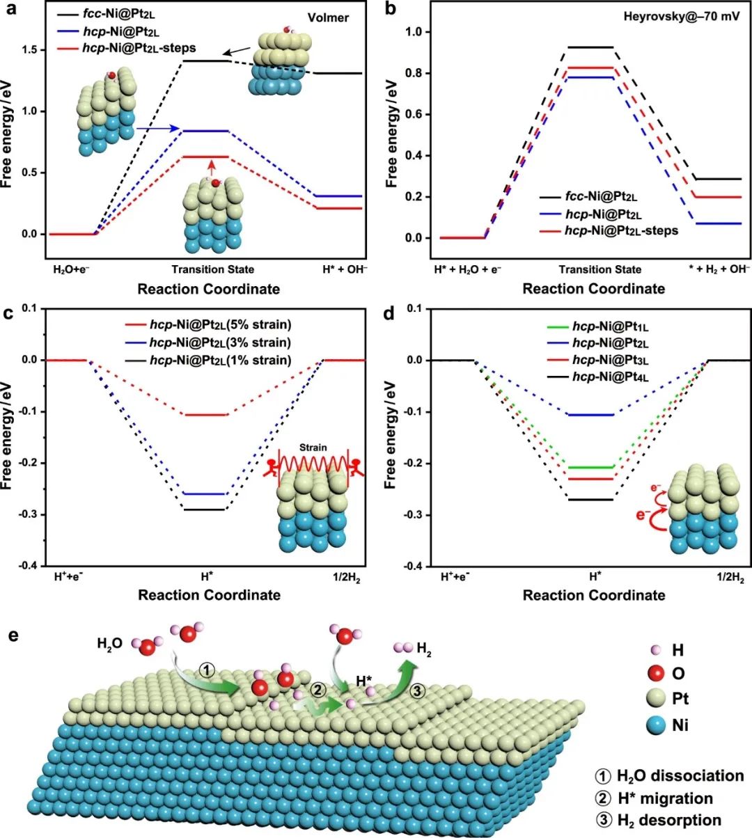 催化頂刊合集：Nature子刊、Angew、AFM、ACS Nano、ACB、Nano Lett等成果！