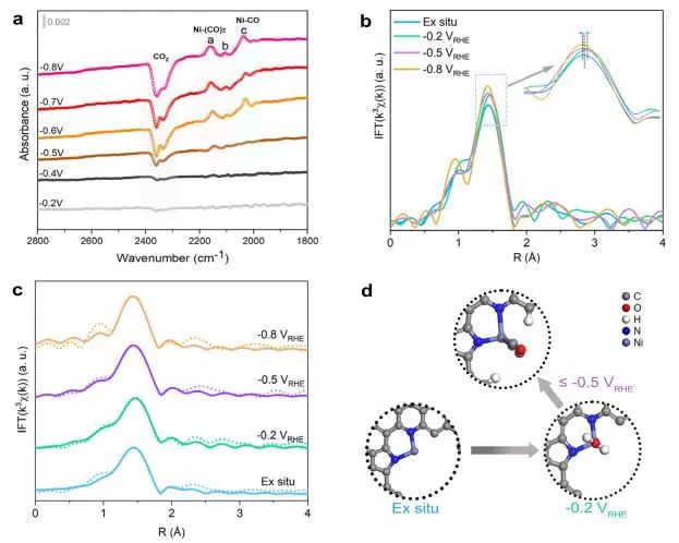催化頂刊集錦：Nature子刊、JACS、ACS Nano、ACS Energy Lett.、AFM、NML等成果