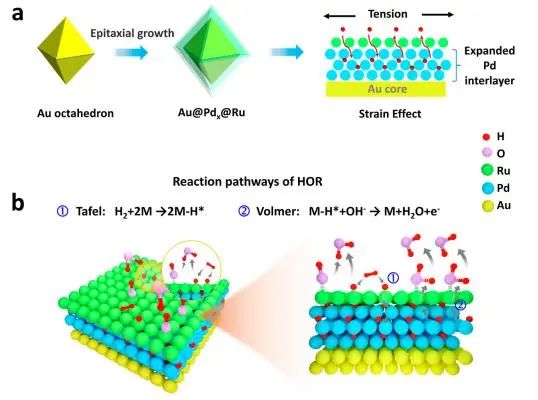 催化頂刊集錦：JACS、Nature子刊、Adv. Sci.、Nano Energy、ACS Nano等