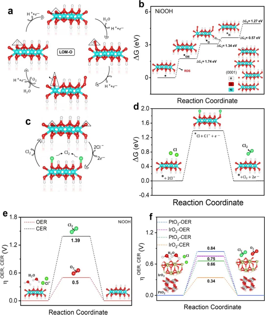 催化頂刊合集：JACS、ACS Catalysis、AM、AEM、CEJ、Small等成果！