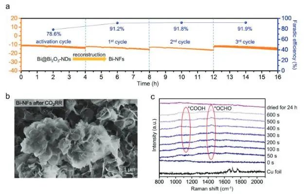 催化頂刊集錦：JACS、Nat. Commun.、ACS Catal.、AFM、ACS Nano等成果