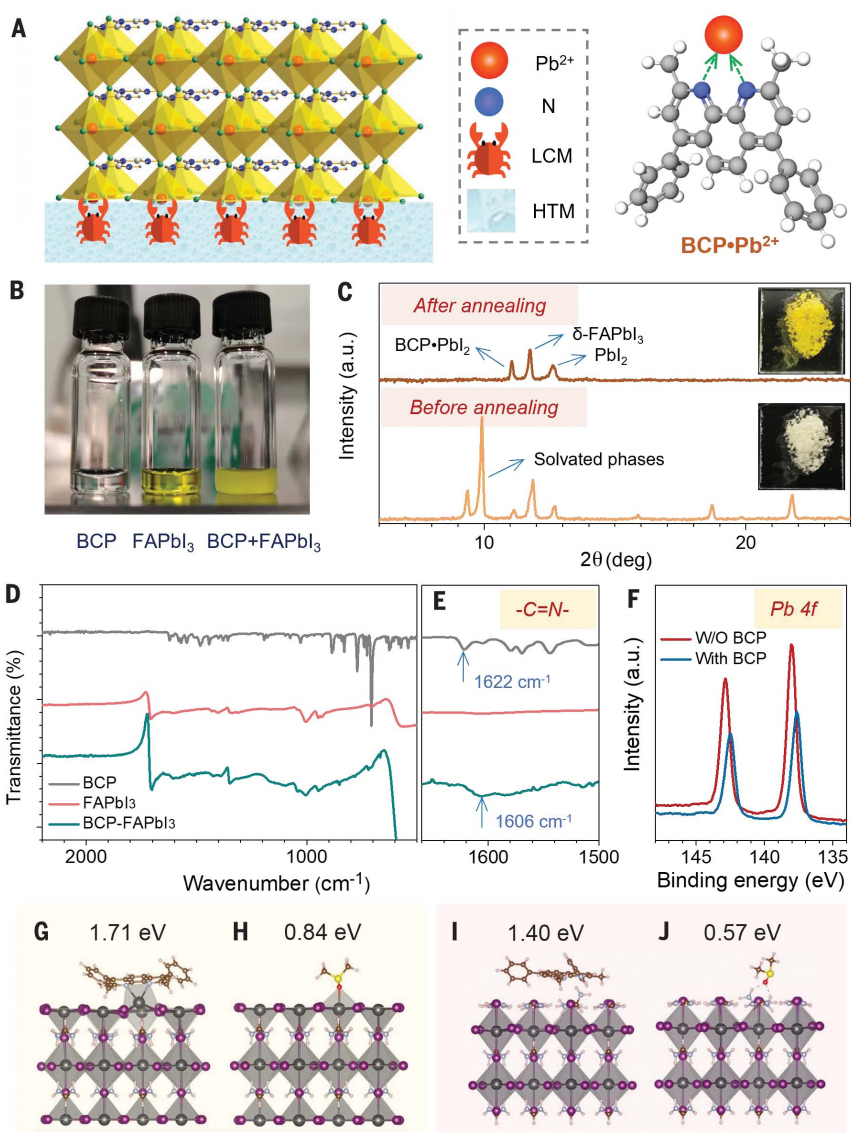 黃勁松教授，最新重磅Science！