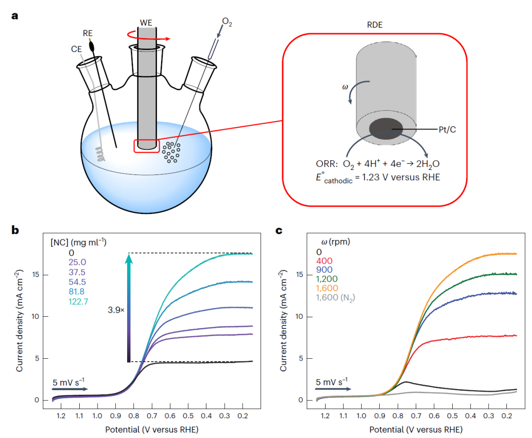 最新Nature Catalysis，在微孔中增強電催化氧還原活性！