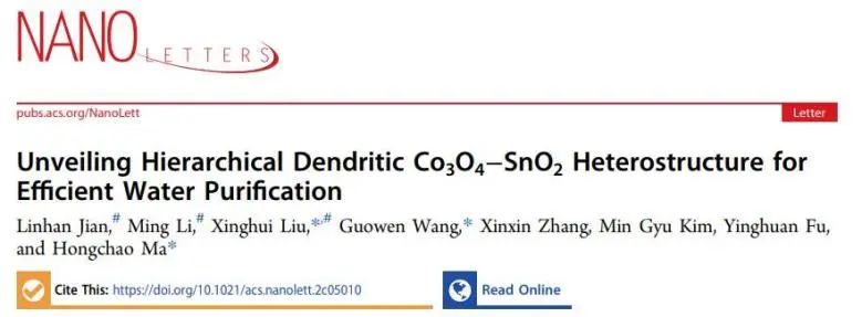 Nano Letters：構建分層樹枝狀Co3O4-SnO2異質結構用于高效PEC水凈化