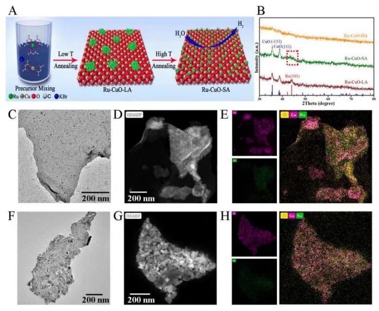 催化頂刊集錦：Nature子刊、JACS、AFM、ACS Catalysis、Nano Energy等