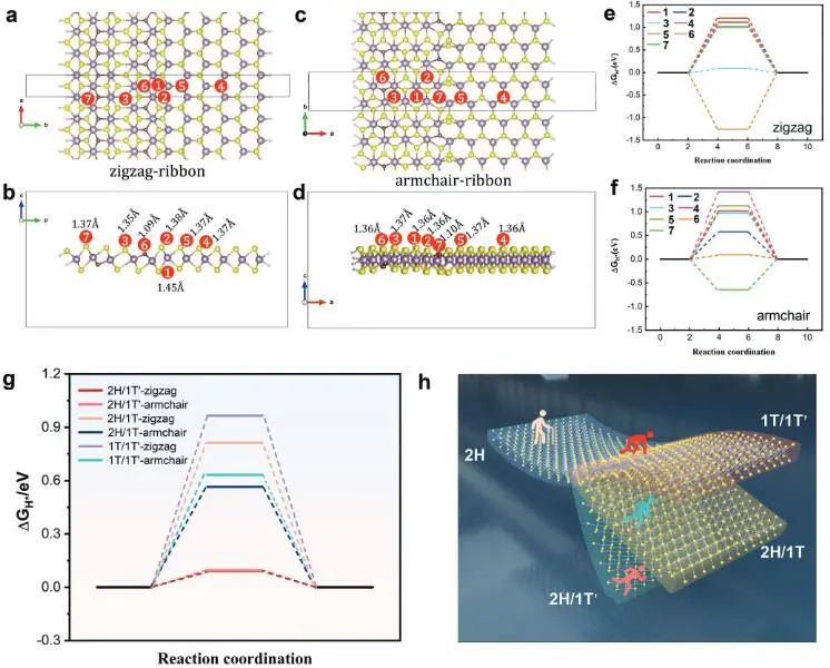 催化頂刊集錦：Nature子刊、EES、AFM、ACS Catal.、Small、Adv. Sci.等成果
