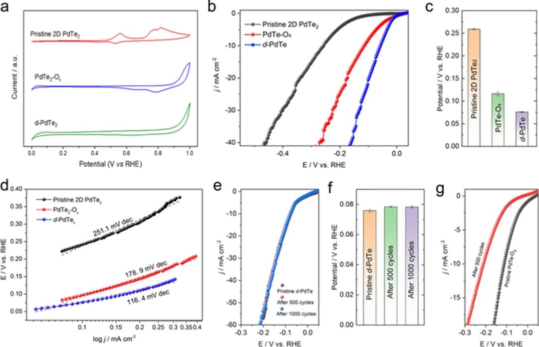 催化頂刊集錦：JACS、ACS Catalysis、Small、JMCA、CEJ、Angew、Carbon Energy等成果