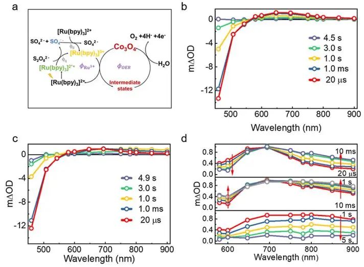 催化頂刊集錦：JACS、Nature子刊、ACS Catal.、AFM、Small、Carbon Energy等最新成果！