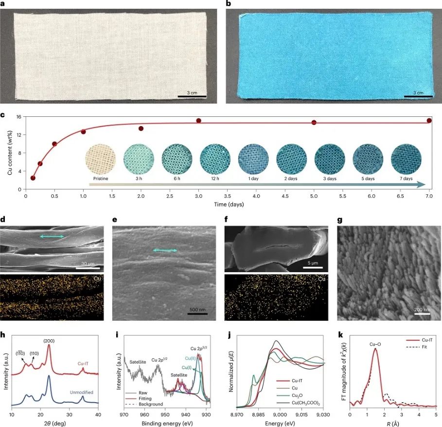胡良兵團隊，最新Nature Nanotechnology！