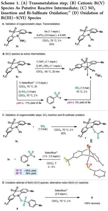 JACS：金屬鉍（Bi）解鎖新玩法-揭示有機金屬催化合成芳基氟磺酰化物的基元步驟
