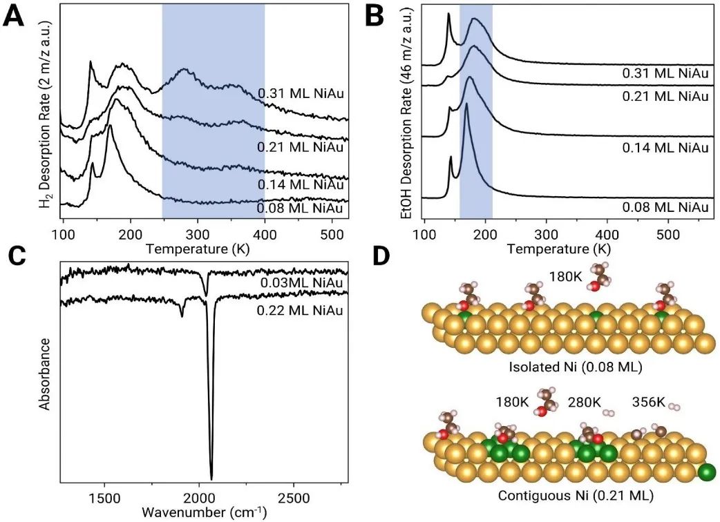JACS：研究NiAu單原子合金催化乙醇脫氫的機理和電子學