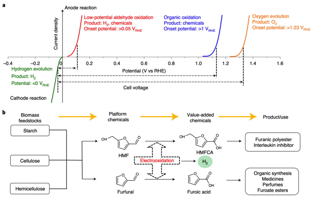 他，連發兩篇頂刊！Nature Catalysis和Angew同日上線！
