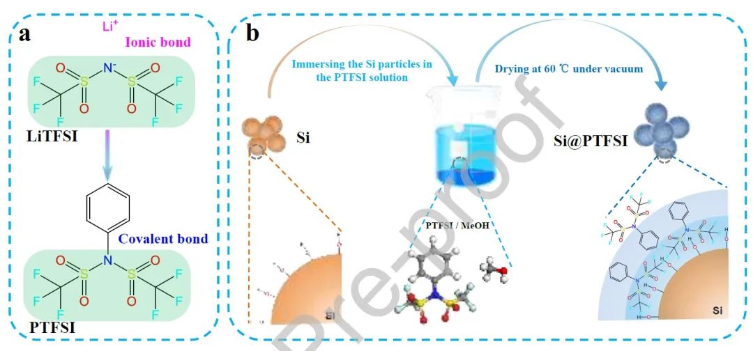 鄭洪河&王艷EnSM：類LiTFSI結構界面層，助力20C高倍率硅負極！
