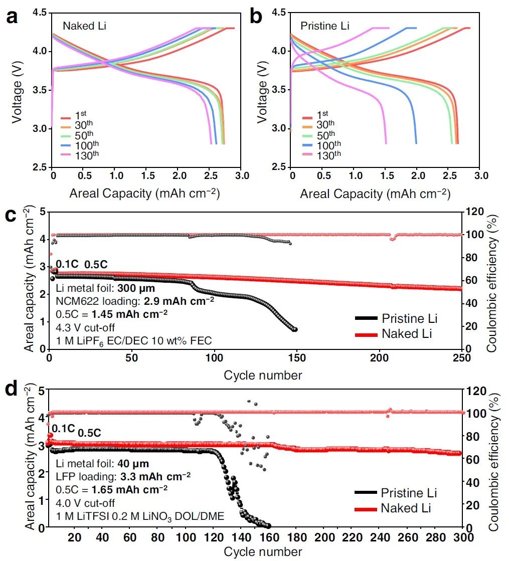 Nature子刊：超穩(wěn)定鋰負(fù)極，10 mA/cm2下循環(huán)1萬次！