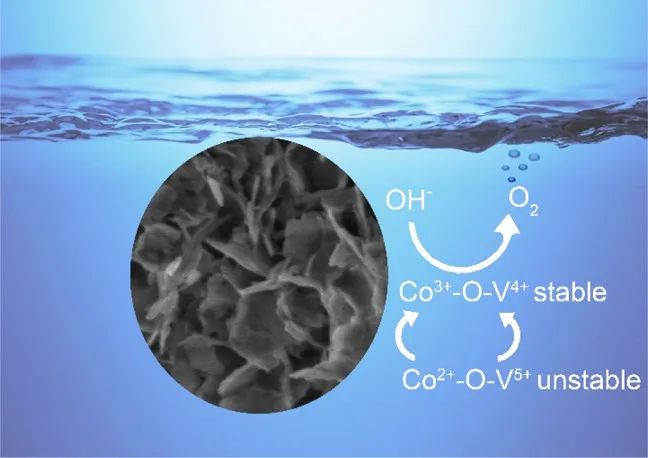 8篇催化頂刊：Nat. Catal.、JACS、Angew.、Chem、Nat. Commun.等成果