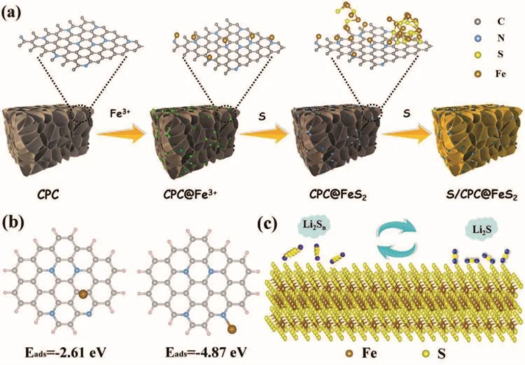 AFM：高性能鋰硫電池，循環900次，比能量372 Wh/kg！