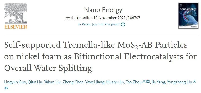 8篇催化頂刊：EES、Small、Adv. Sci.、JMCA、Nano Energy、Chem. Eng. J.等最新成果