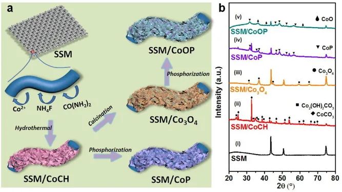8篇催化頂刊：EES、Small、Adv. Sci.、JMCA、Nano Energy、Chem. Eng. J.等最新成果