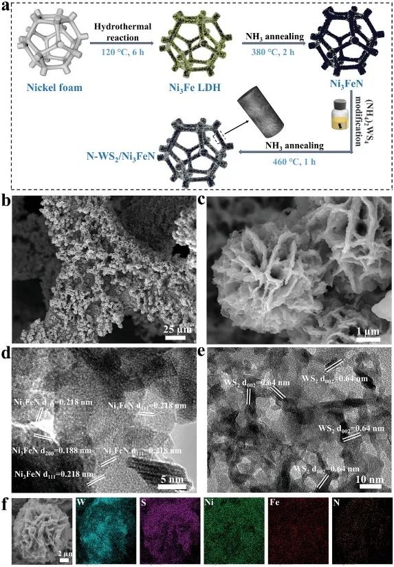 湖南師大余芳Small：利用多位點工程促進WS2基異質結構的堿性HER/OER動力學