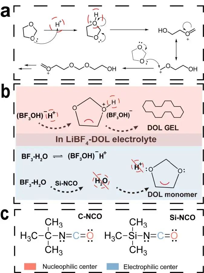 電池頂刊集錦：Nature子刊、Angew、EES、AFM、ACS Energy Lett.、ACS Nano等成果！
