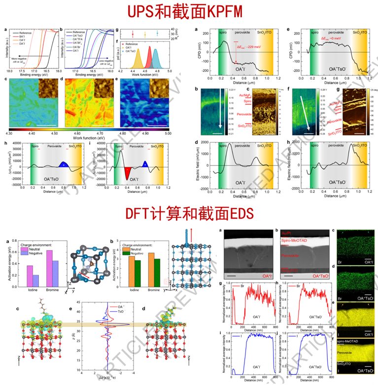 精彩絕倫！‘鈣幫’圍攻光明頂：五行八卦掌發Nature，降龍十八掌發Science！