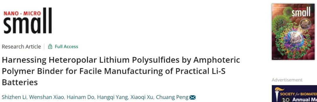 武大彭創(chuàng)Small：兩性聚合物粘結(jié)劑助力實用鋰硫電池