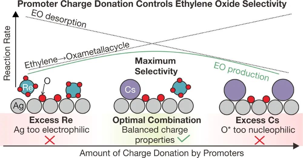 機器學習，頂刊精選：Nature、ACS Catalysis、JMCA、ACS AMI、ES&T等成果