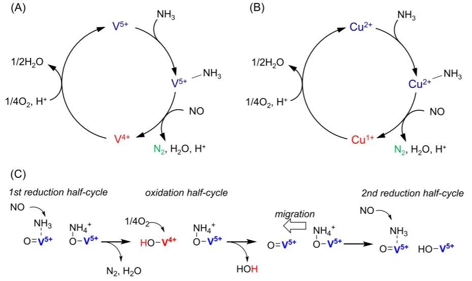 ACS Catal.: 釩氧化物和銅沸石催化劑上的類似NH3-SCR機制