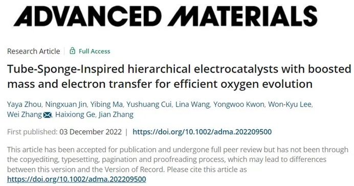 ?東南/南大/杭電AM：管-海綿式分級電催化劑增強質量和電子轉移用于高效析氧