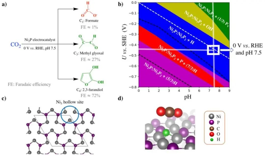 催化頂刊集錦：ACS Catalysis、Small、Nano Energy、NML、Appl. Catal. B.等成果