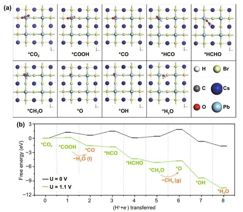 Nano-Micro Letters：超穩定水分散性CsPbBr3納米晶體用于電催化CO2還原