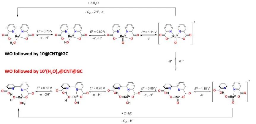 催化頂刊精選：JACS、ACS Energy Lett.、AFM、Appl. Catal. B.、Chem. Eng. J.