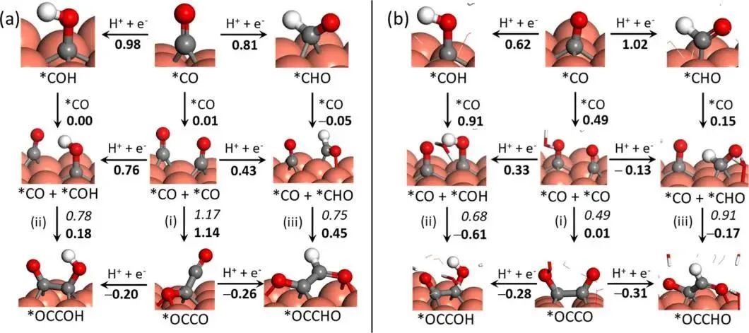 ACS Catalysis：電化學CO2還原為乙烯和乙醇的綜合機理：水-Cu(100)界面模型的溶劑效應