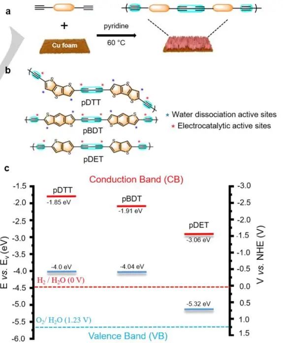 這個團隊就是牛！7天連發Nature Catalysis、JACS、Angew.三篇頂刊