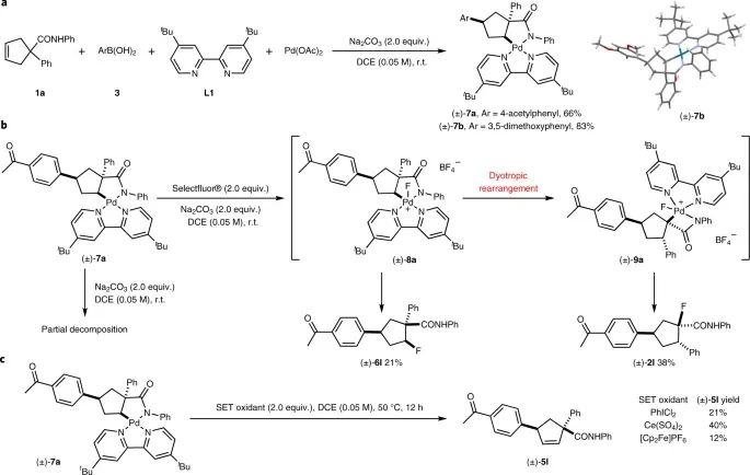 Nature Chemistry：傳統就是用來打破的！基于Pd的異向重排