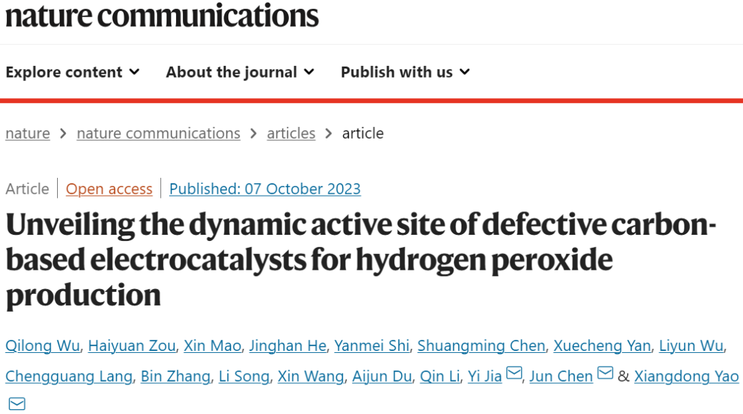 ?姚向東/陳俊等Nature子刊：揭示缺陷碳基電催化劑的動態(tài)活性位點
