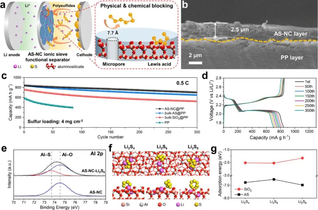 ?電池頂刊集錦！EES、AEM、AFM、JACS、ACS Nano、Small等最新成果速覽