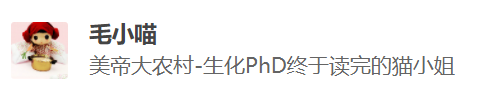 海外博士朝九晚五，國內博士動輒日均十幾個小時，為什么普遍認為海外博士水平比較高？